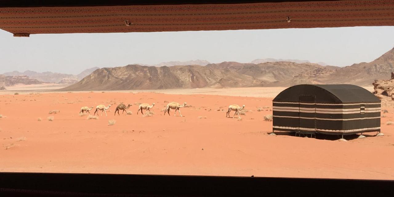 Real Bedouin Experience Tours & Camp Hotel Wadi Rum Exterior foto